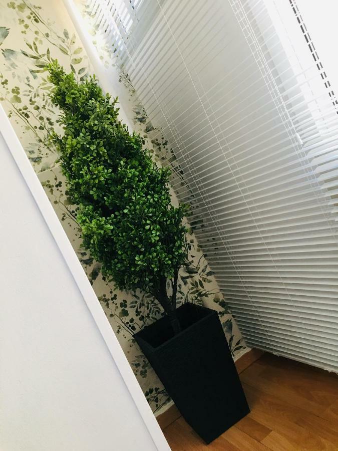 Apartamento Good Vibes Apartment ซาราโกซา ภายนอก รูปภาพ